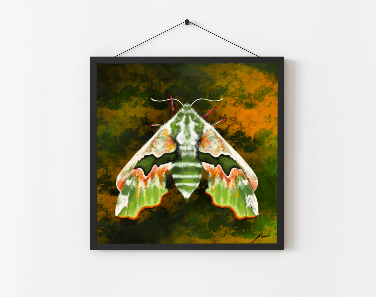 GREEN MOTH FINE ART PRINT