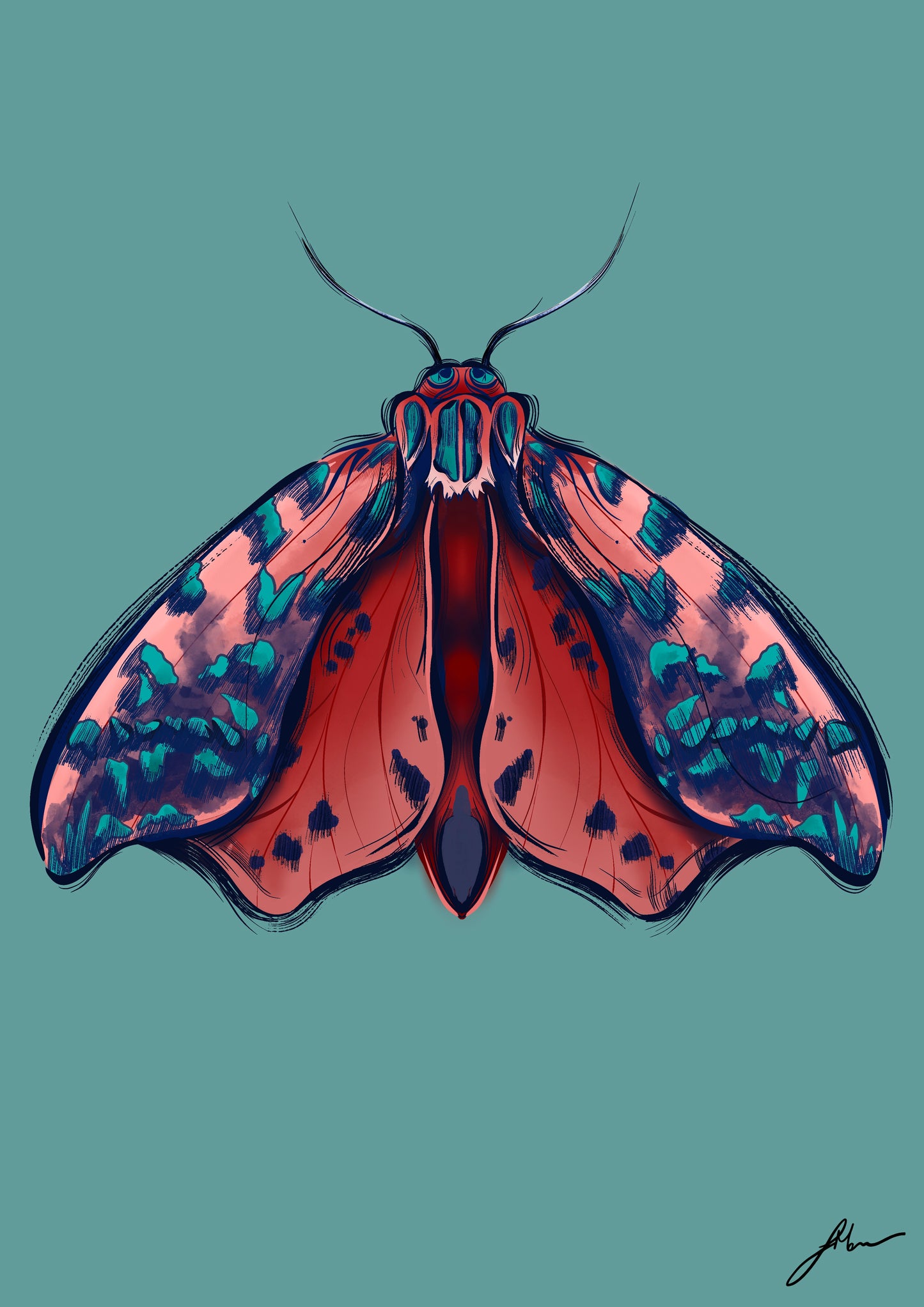 CORAL MOTH FINE ART PRINT