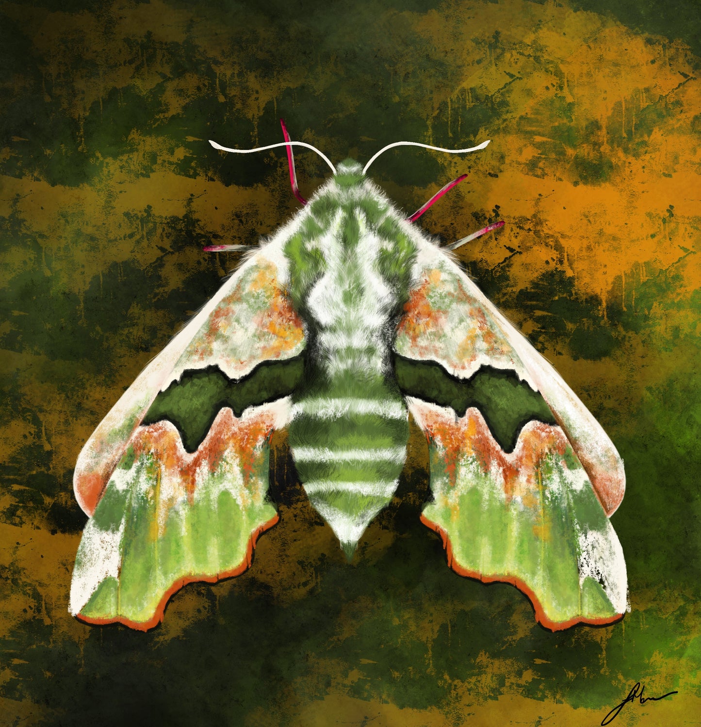 GREEN MOTH FINE ART PRINT