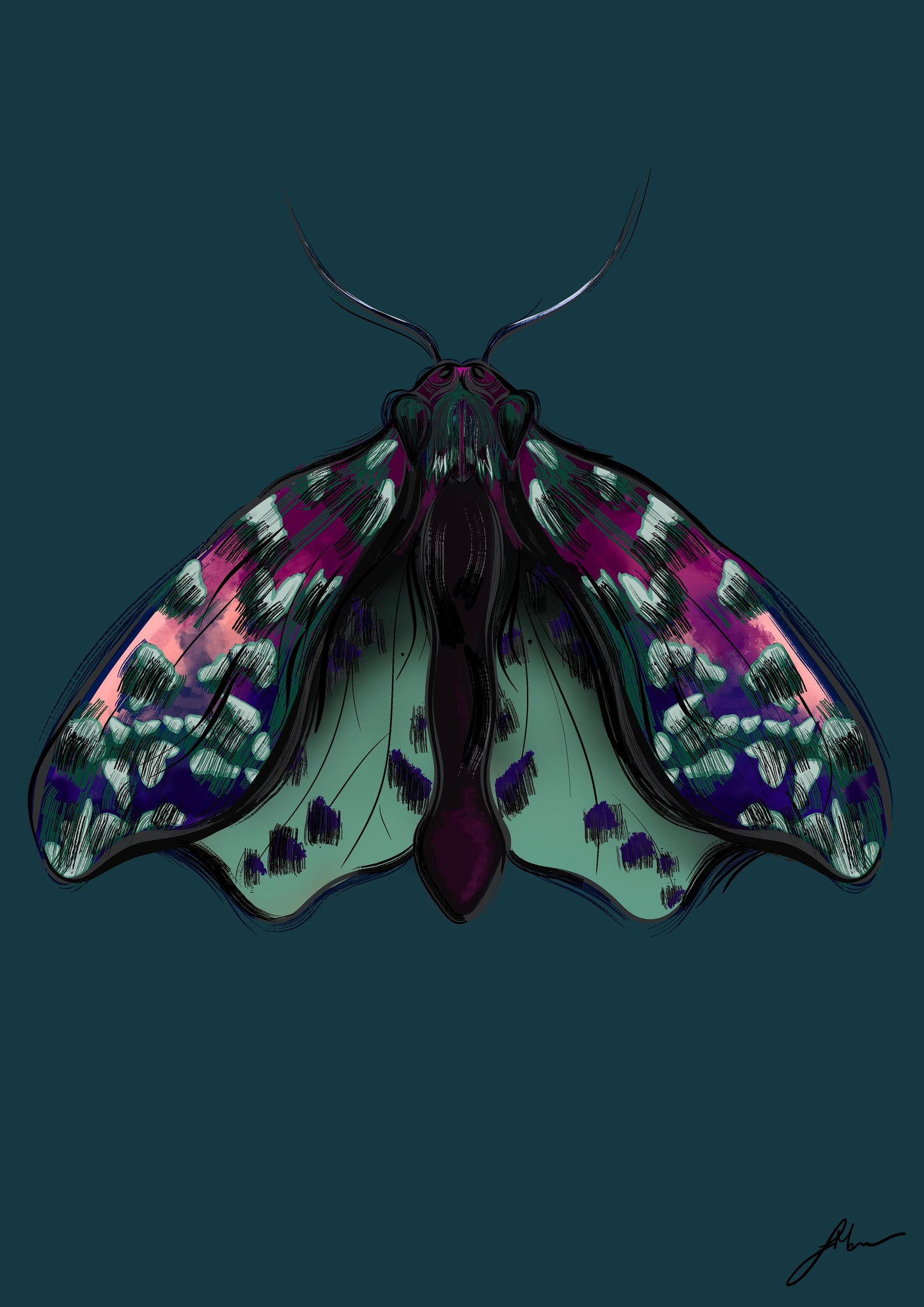 PURPLE & GREEN MOTH FNE ART PRINT