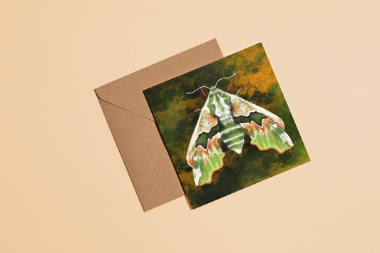 Green Moth Greetings Card