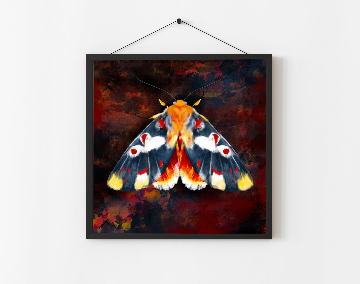 NAVY MOTH FINE ART PRINT